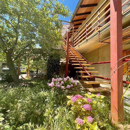 Apartment Olive Grove 伊佐拉 外观 照片