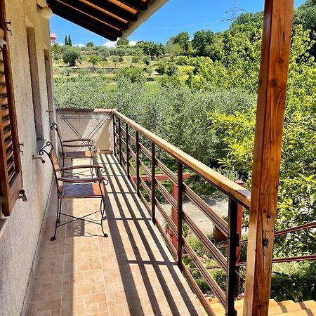 Apartment Olive Grove 伊佐拉 外观 照片